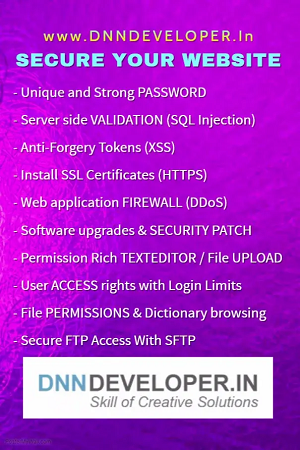 DnnDeveloper.in-Security